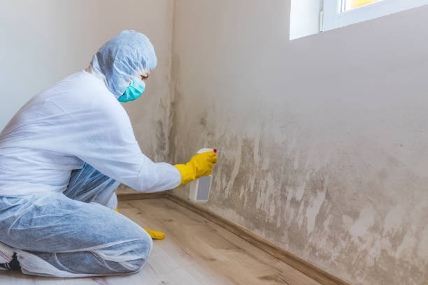 Mold Remediation specialist working in Bedford